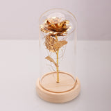 Enchantly - Enchanted Rose Flower